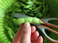 煮毛豆的做法步骤2