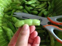 煮毛豆的做法步骤3