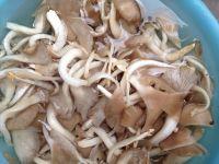 平菇焖面的做法步骤1