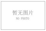 瑞士鸡翅的做法步骤4